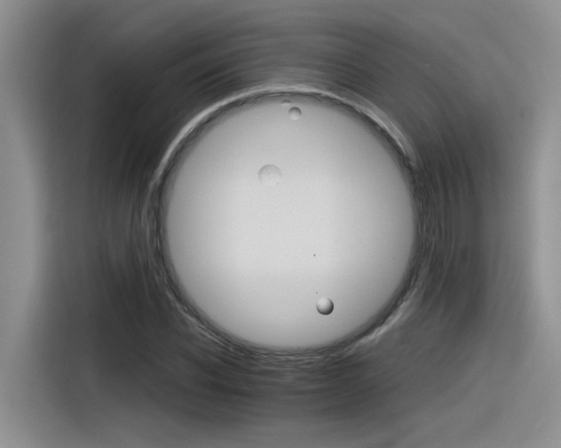 X0000116390926200912021003