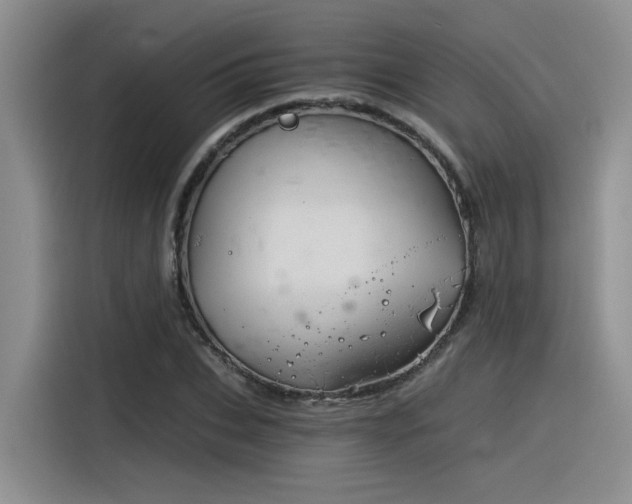 X0000116390927200912021003