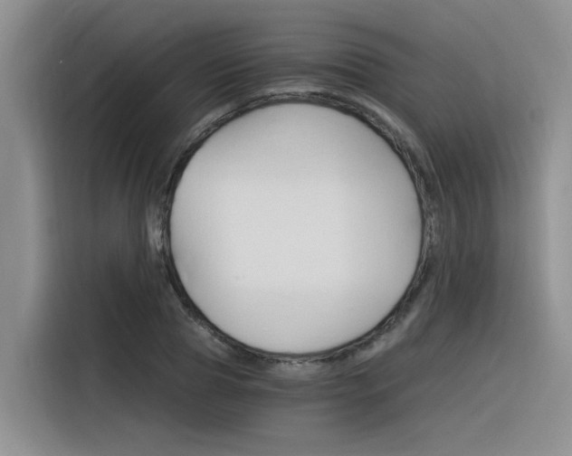 X0000116390929200912021003