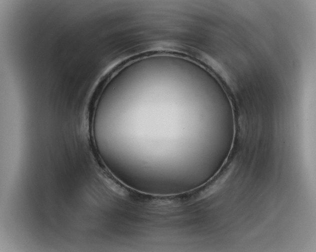 X0000116390931200912021003
