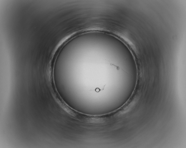 X0000116390933200912021003