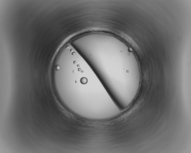 X0000116390934200912021003