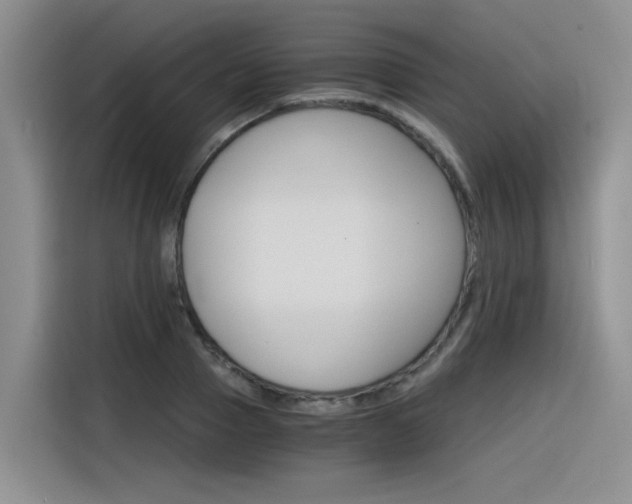 X0000116390937200912021003