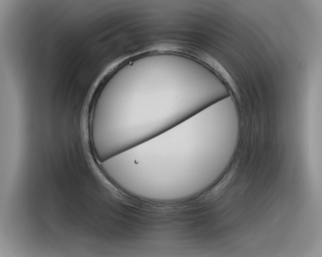 X0000116390939200912021003