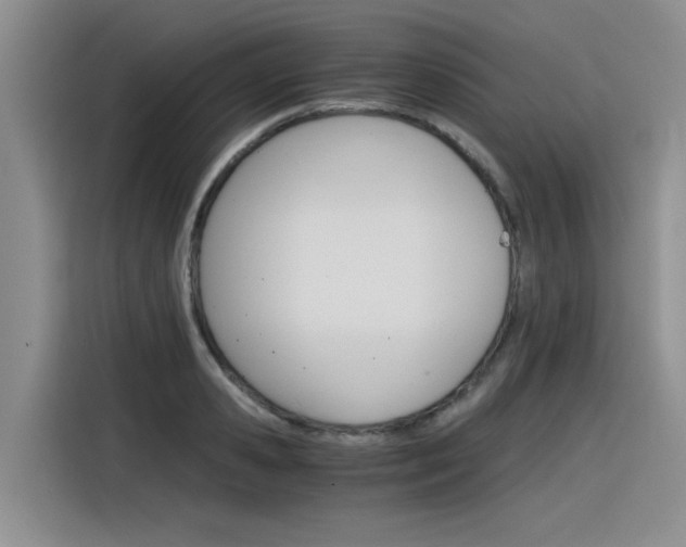 X0000116390941200912021003