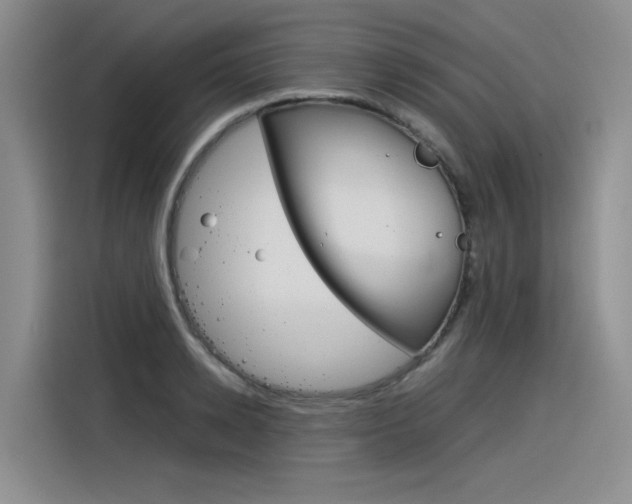 X0000116390942200912021003