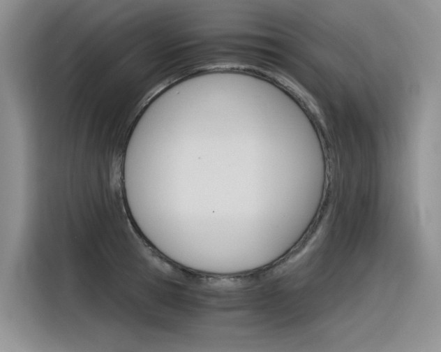 X0000116390945200912021003
