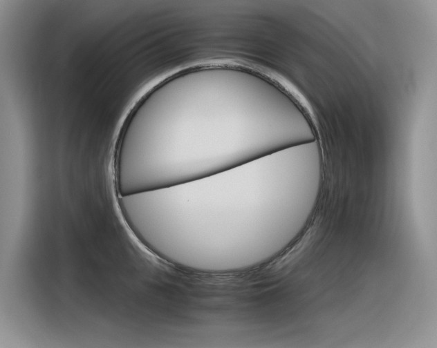 X0000116390951200912021003