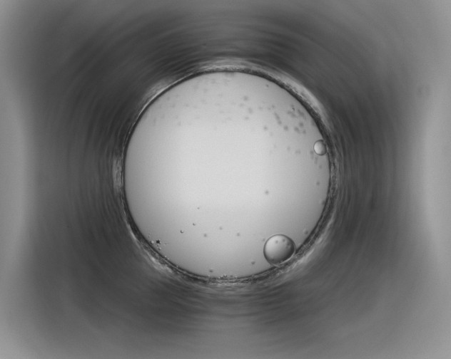 X0000116390953200912021003
