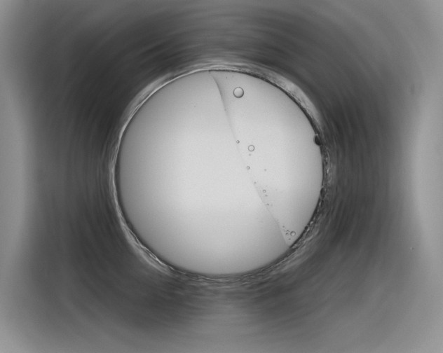 X0000116390954200912021003