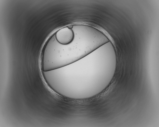 X0000116390955200912021003