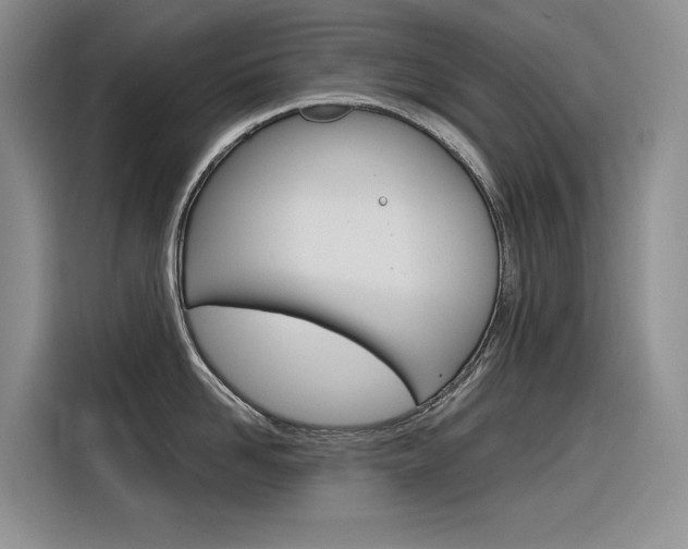 X0000116390958200912021003