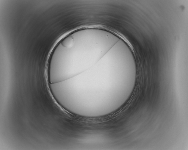 X0000116390959200912021003