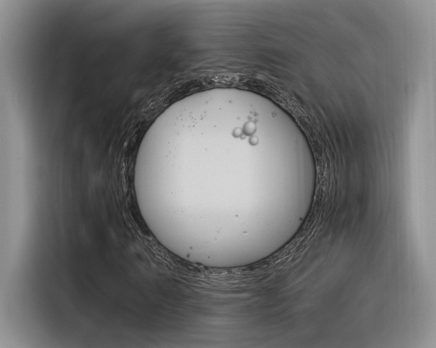 X0000116390962200912021003