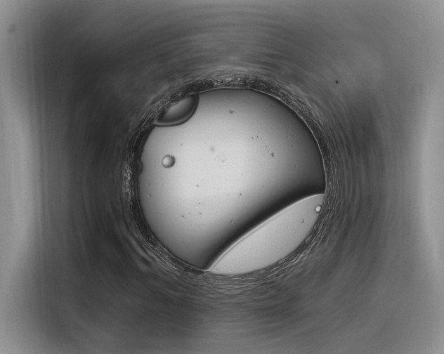 X0000116390964200912021003