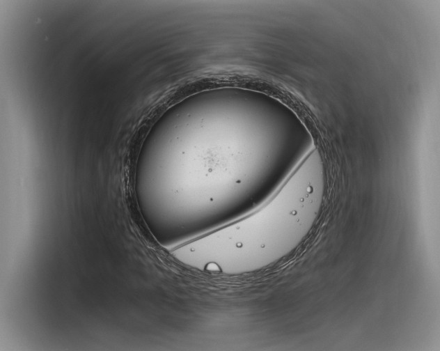 X0000116390965200912021003