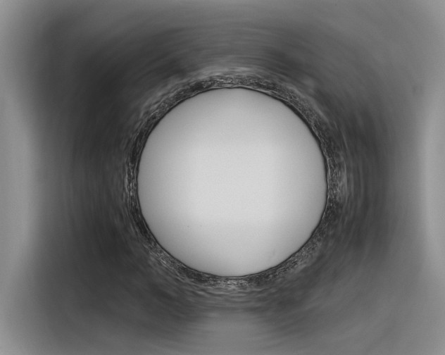 X0000116390966200912021003