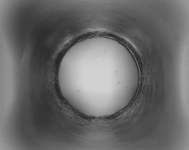X0000116390967200912021003