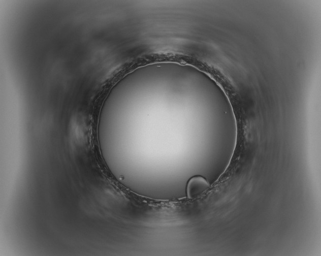 X0000116390968200912021003