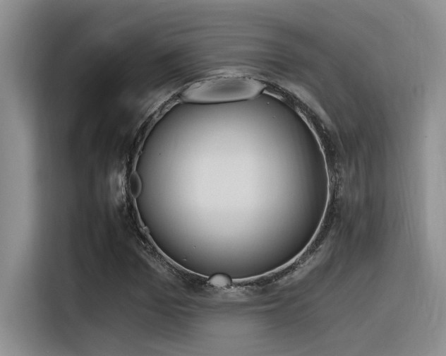 X0000116390969200912021003