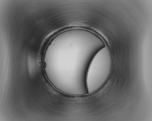 X0000116390971200912021003
