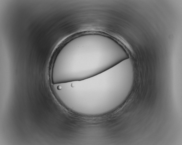 X0000116390972200912021003