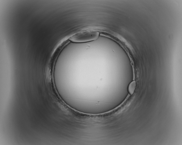 X0000116390973200912021002