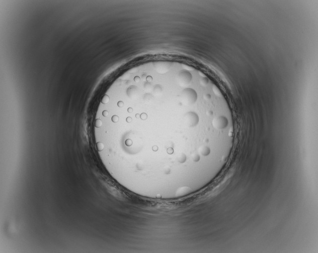 X0000116390974200912021002