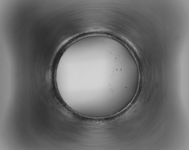 X0000116390975200912021002