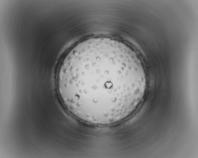 X0000116390978200912021002