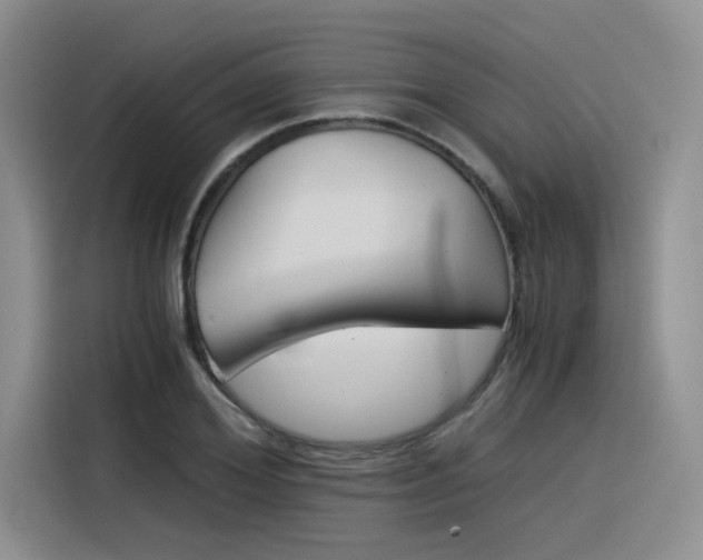 X0000116390980200912021002