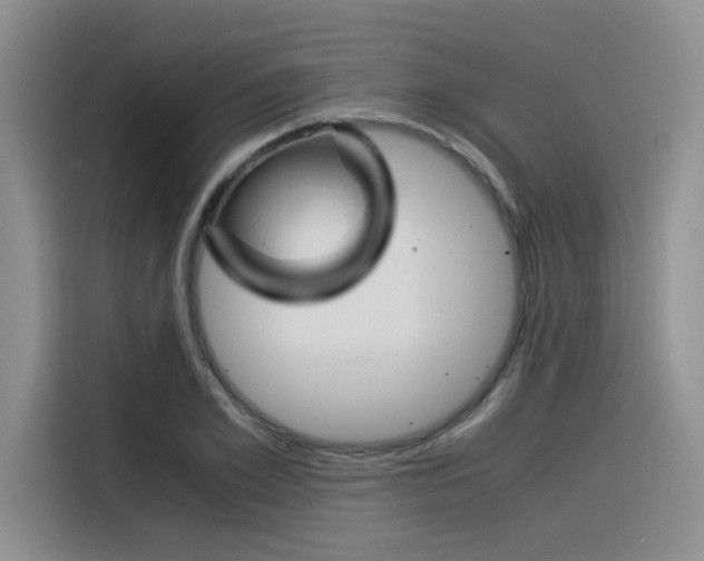 X0000116390981200912021002