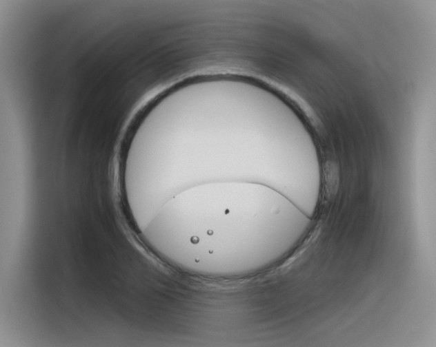 X0000116390982200912021002