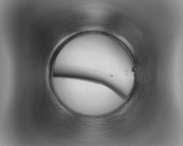 X0000116390983200912021002