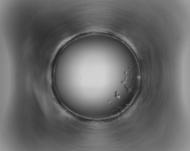 X0000116390987200912021002