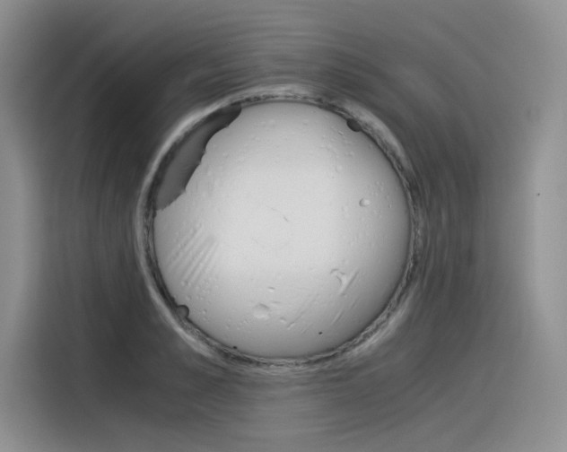 X0000116390989200912021002