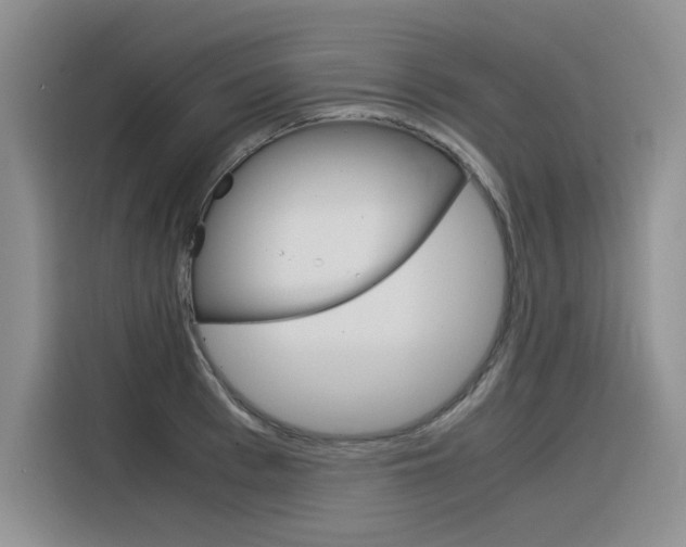 X0000116390993200912021002