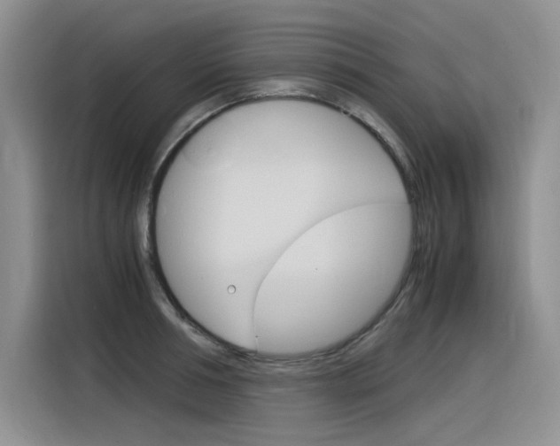 X0000116390994200912021002