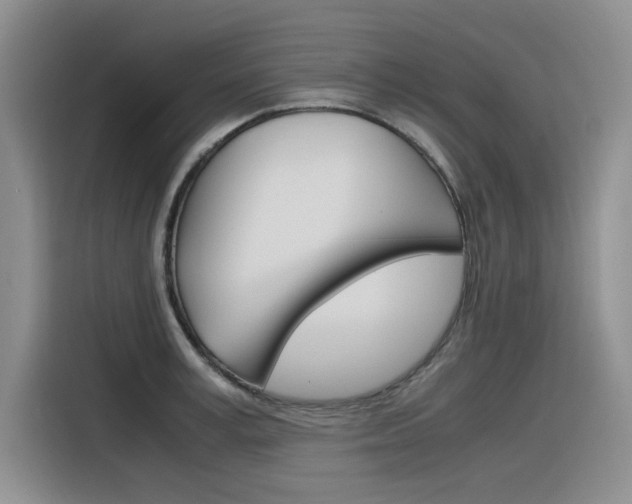 X0000116390995200912021002