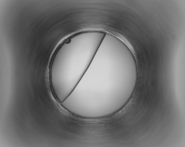 X0000116390996200912021002