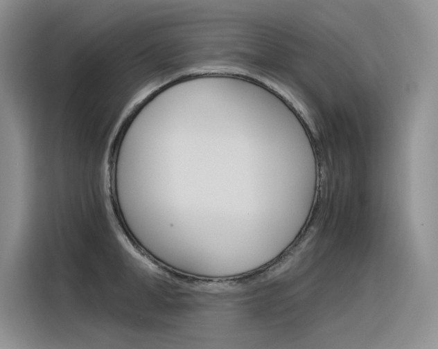 X0000116390998200912021002