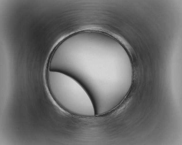X0000116390999200912021002