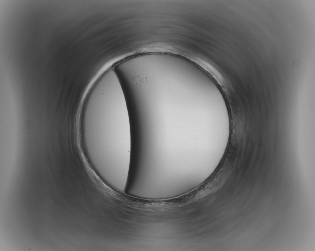 X0000116391000200912021002