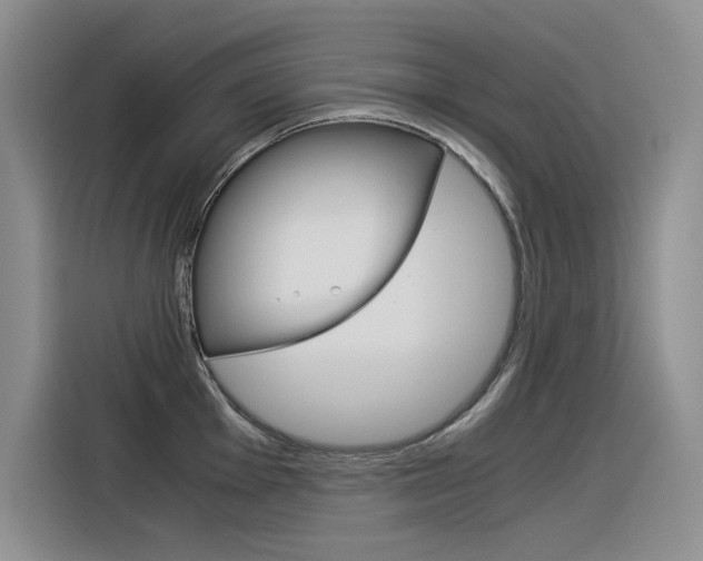 X0000116391001200912021002