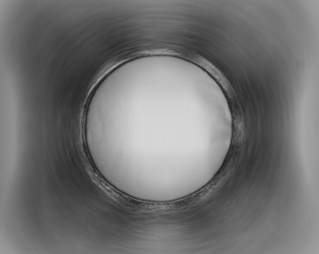 X0000116391002200912021002