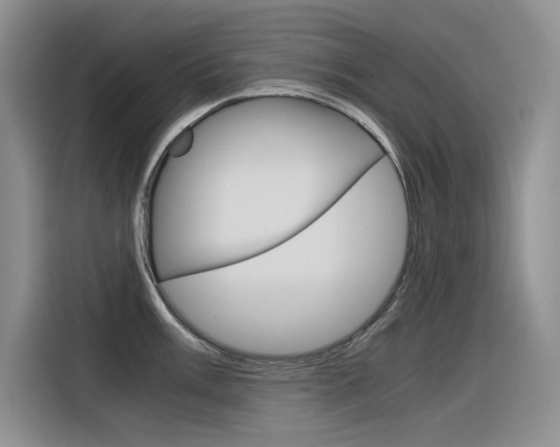 X0000116391003200912021002