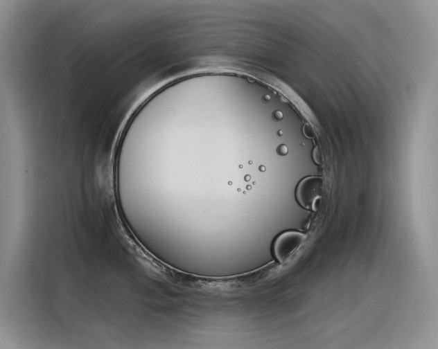 X0000116391004200912021002