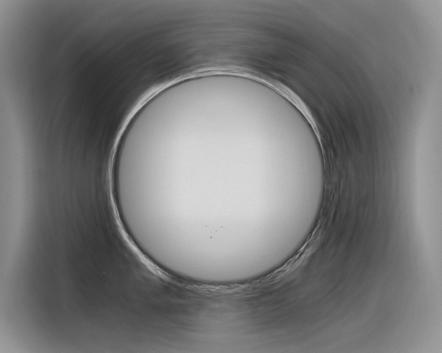 X0000116391005200912021002