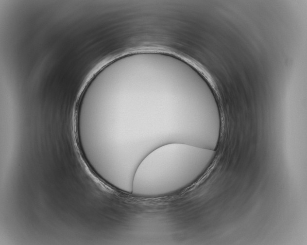 X0000116391006200912021002