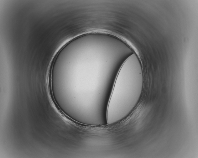 X0000116391007200912021002
